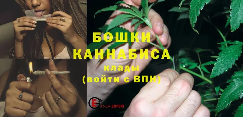 Марихуана OG Kush  купить   Подольск 